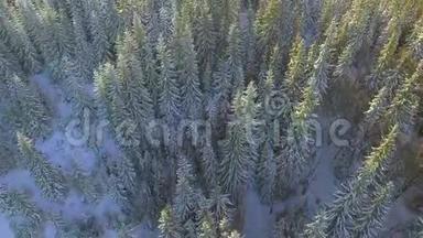 空中白雪覆盖的树木。 景观<strong>冬季</strong>自然森林。 <strong>旅游</strong>白色<strong>旅游</strong>